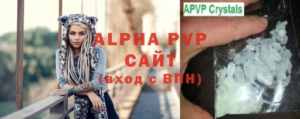 крисы Алексин
