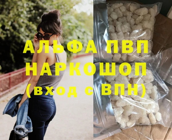крисы Алексин