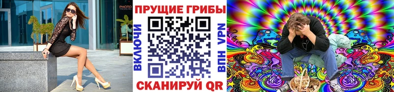 omg ссылки  купить наркотик  Карабулак  Псилоцибиновые грибы MAGIC MUSHROOMS 