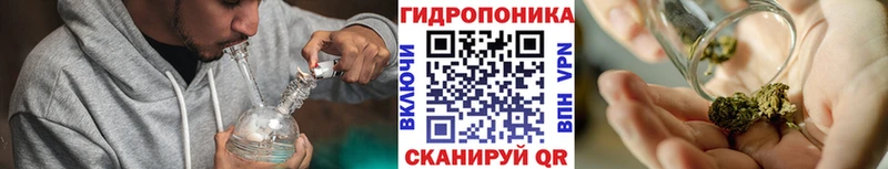 Бошки марихуана Ganja  Карабулак 